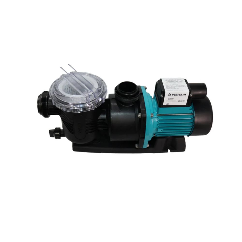 Shop Pool Pumps Online