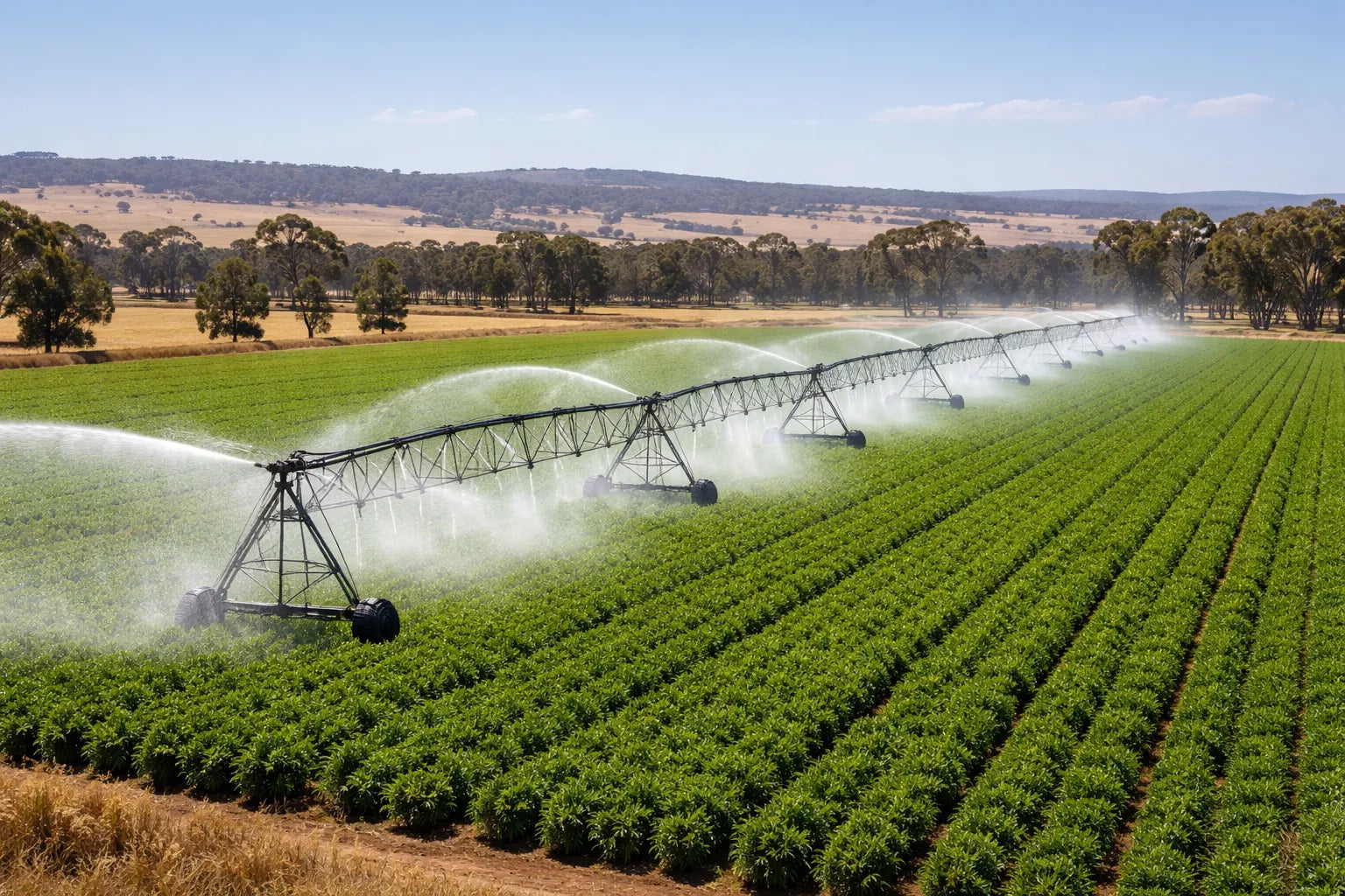 irrigation sprinkler system operating on Australian farm in Western Australia