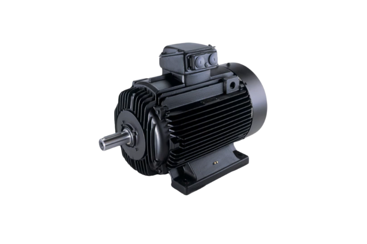 Grundfos Electric Motor