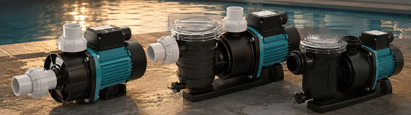 Shop Pool Pumps Online