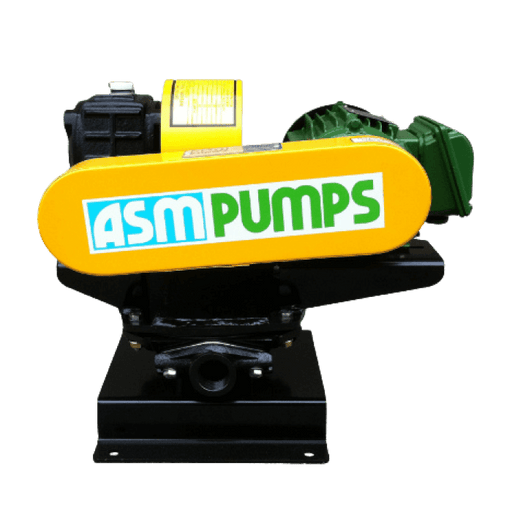 ASM DT25 Diaphragm Pump – 1" (25NB) (0.37 kW, 415V Three Phase)