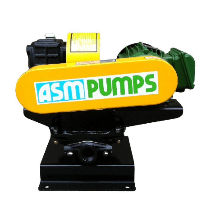 ASM DT25 Diaphragm Pump – 1" (25NB) (0.37 kW, 415V Three Phase)