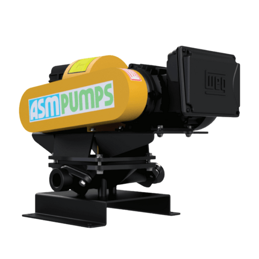 ASM DT25 Diaphragm Pump – 1" (25NB) (0.37 kW, 415V Three Phase)