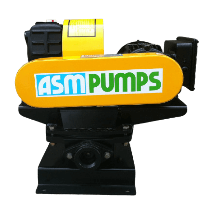ASM DT32 Diaphragm Pump – 1¼" (32NB) (0.37 kW, 415V Three Phase)