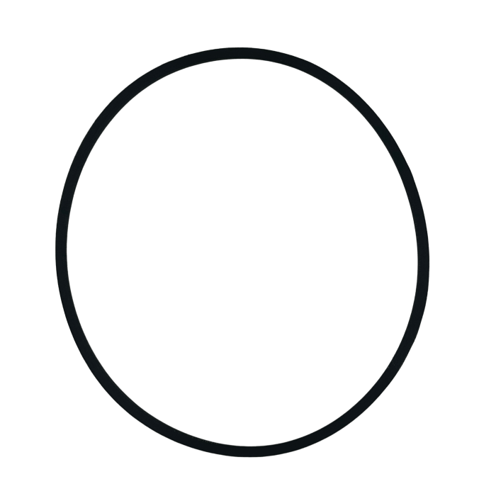 ASM Pumps (D Series) V-Belt