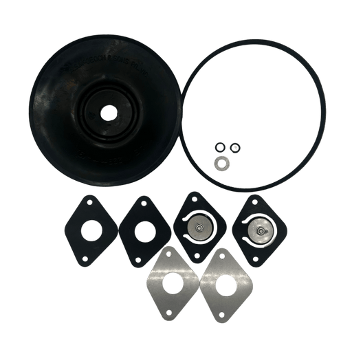 ASM Pumps (D Series) Service Kit