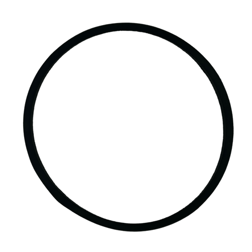 ASM Pumps (D Series) V-Belt