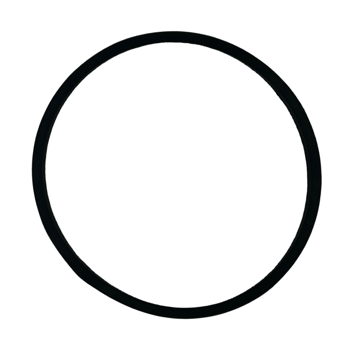 ASM Pumps (D Series) V-Belt