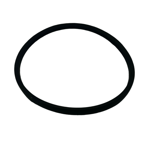 ASM Pumps (D Series) V-Belt