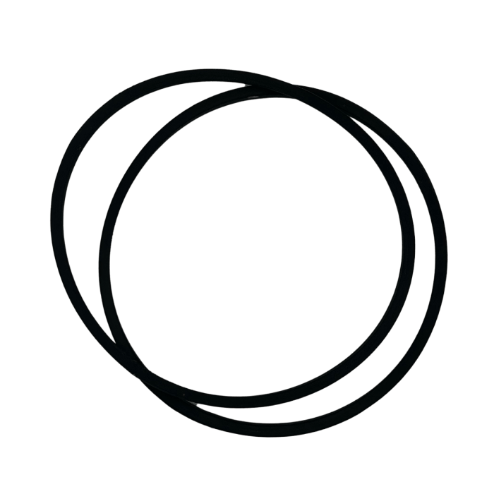 ASM Pumps (D Series) V-Belt
