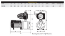 Davey HS60-08T WPS w/ Torrium .76kW 240V 50Hz 1ph