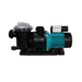LeisureTime Pool Pump LTP750 (1.0HP)