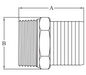 316 Stainless Steel Hose Nipple Threaded BSP